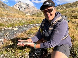 Brook Trout