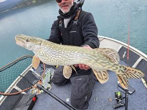 Northern Pike