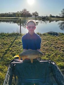 Mirror Carp
