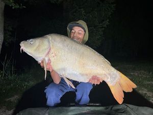 Mirror Carp
