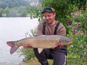 Grass Carp