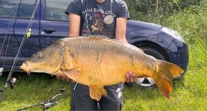Mirror Carp