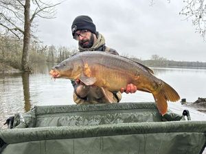 Mirror Carp