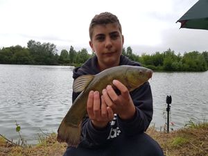Tench
