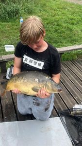 Mirror Carp