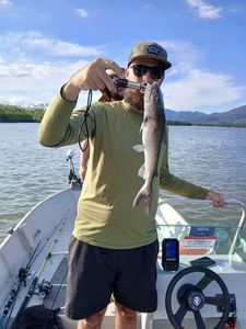 White Catfish