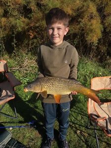 Common Carp