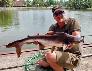 Pangasius