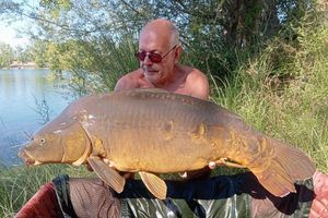 Mirror Carp