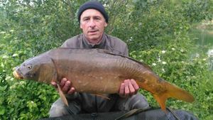 Mirror Carp