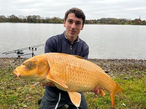 Koï Fish