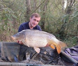 Common Carp
