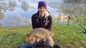 Common Carp