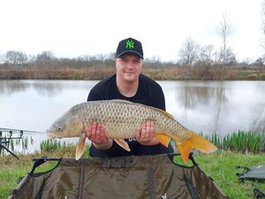 Common Carp