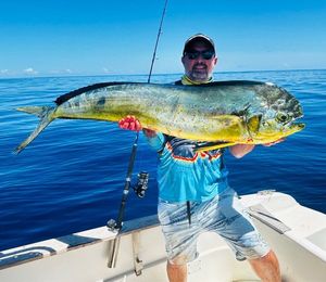 Dolphinfish