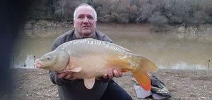 Mirror Carp