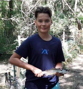 Rainbow Trout