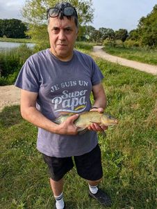Tench