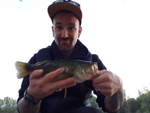 Largemouth Bass