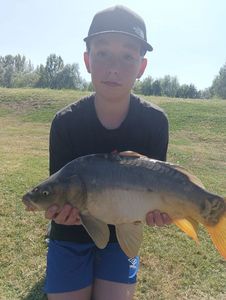 Mirror Carp