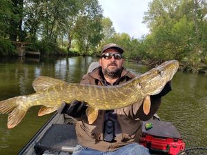 Northern Pike
