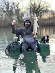 Northern Pike