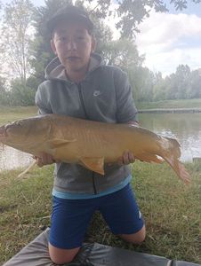 Mirror Carp