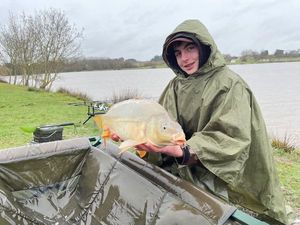 Mirror Carp