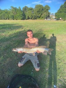 Northern Pike