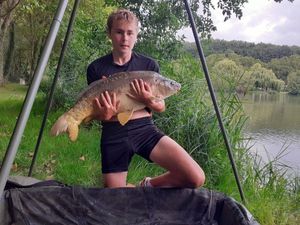 Mirror Carp