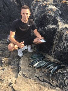 Mackerel
