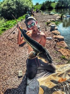 Sturgeon