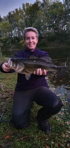 Largemouth Bass