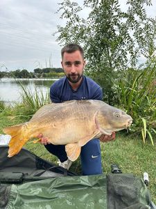 Mirror Carp