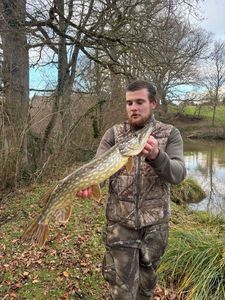 Northern Pike
