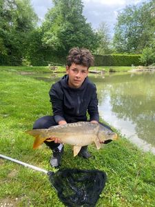 Mirror Carp