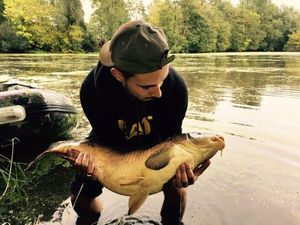 Mirror Carp