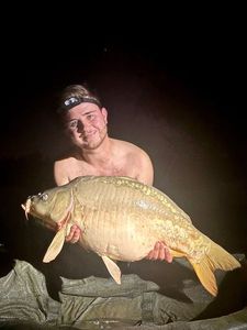 Mirror Carp