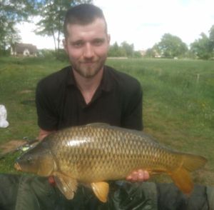 Common Carp