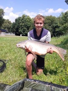 Mirror Carp