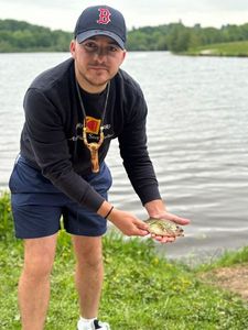 Smallmouth Bass