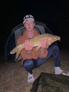 Mirror Carp