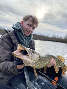 Northern Pike