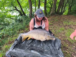 Mirror Carp