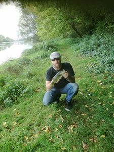 Largemouth Bass