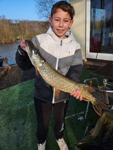 Northern Pike