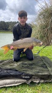 Common Carp
