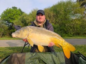 Mirror Carp