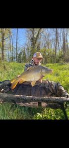 Leather Carp