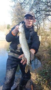 Northern Pike